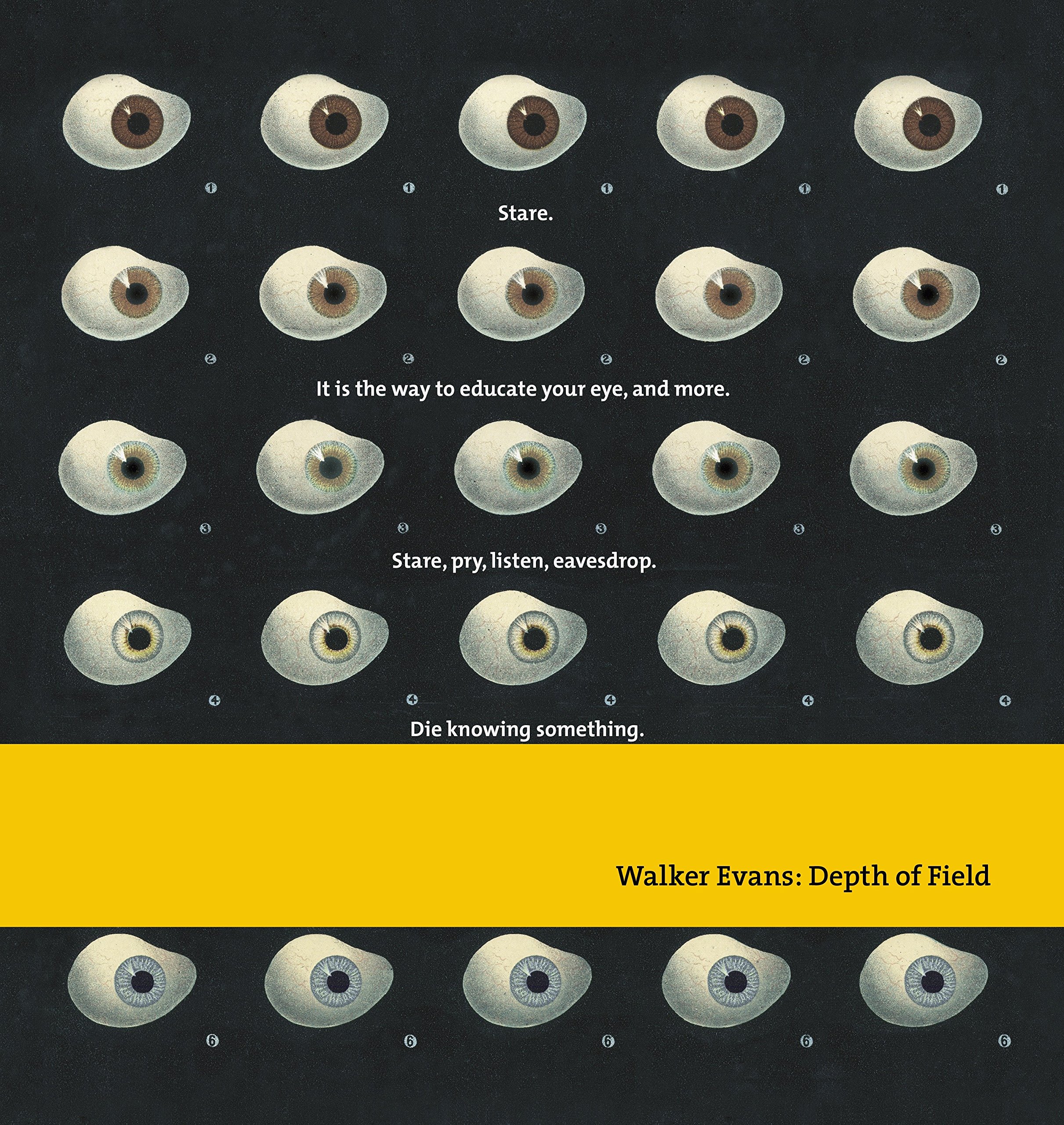 Walker Evans Depth Of Field by Walker Evans, John Hill and Heinz Liesbrock