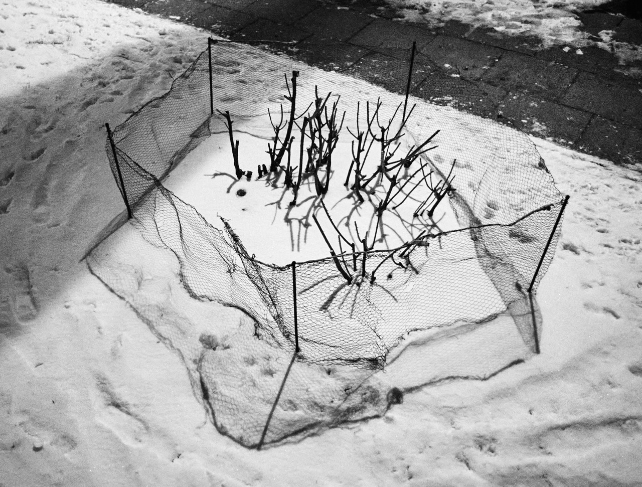 © Aliaksandr Pryshyvalka | The light & dark