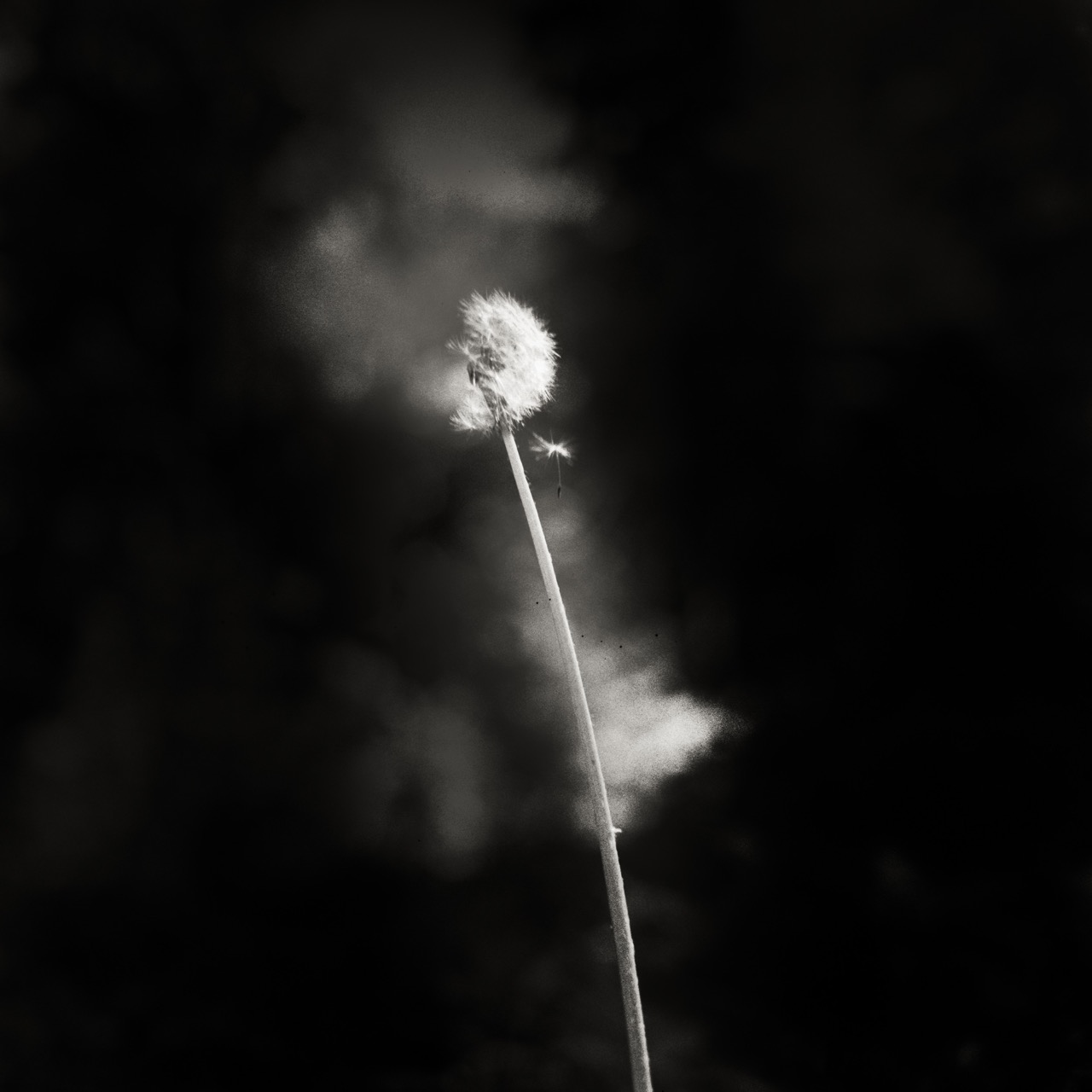 © Cristian Geelen | I started writing you this letter in autumn...