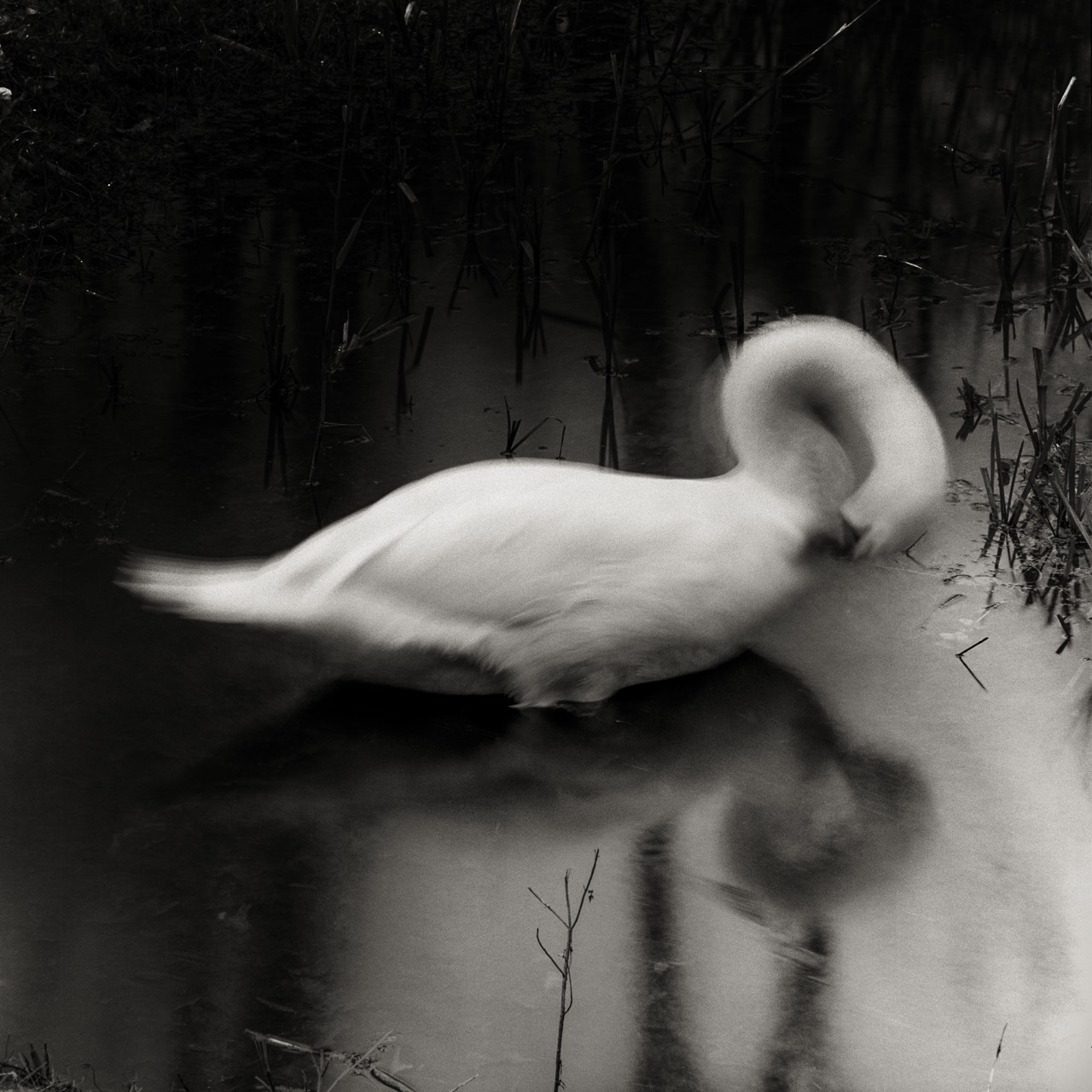 © Cristian Geelen | I started writing you this letter in autumn...