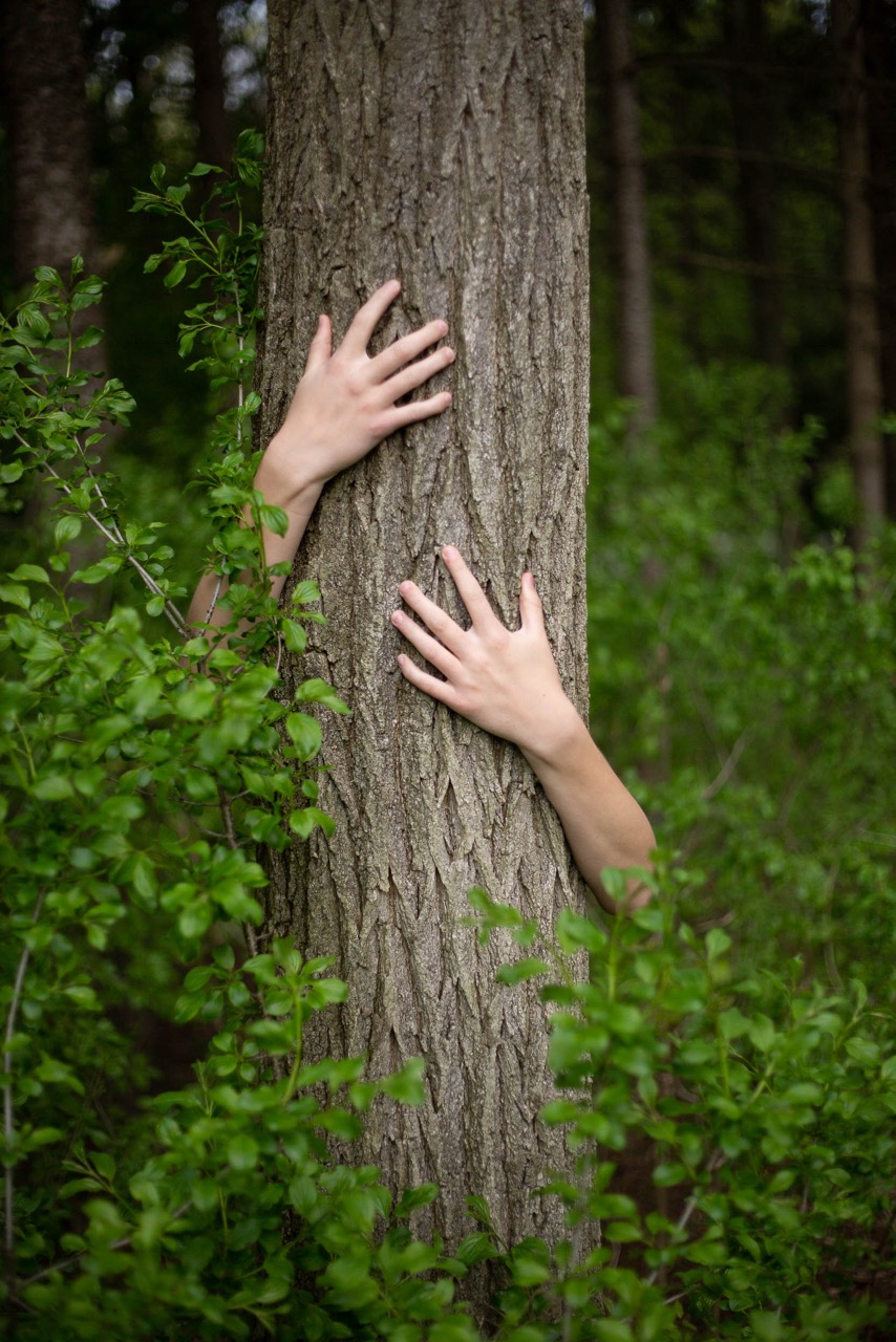 © Elizabeth Lynch | Woodland
