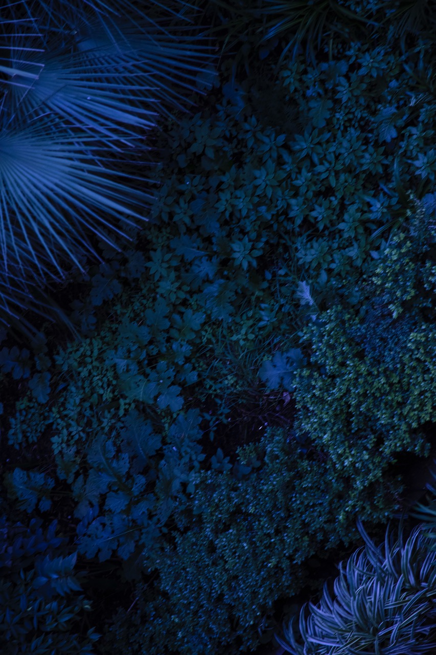 © Ilaria Gioia | Visioni