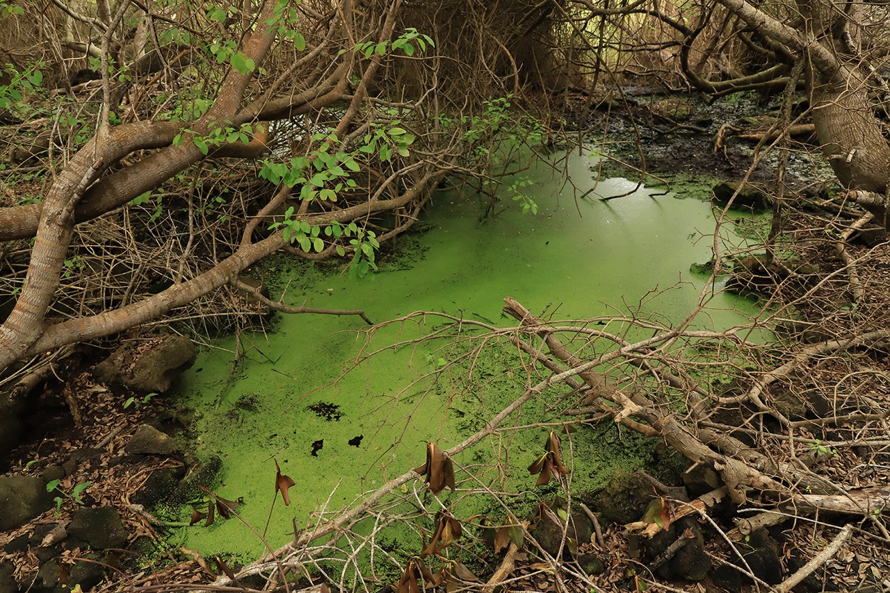 © Ilaria Gioia | Visioni