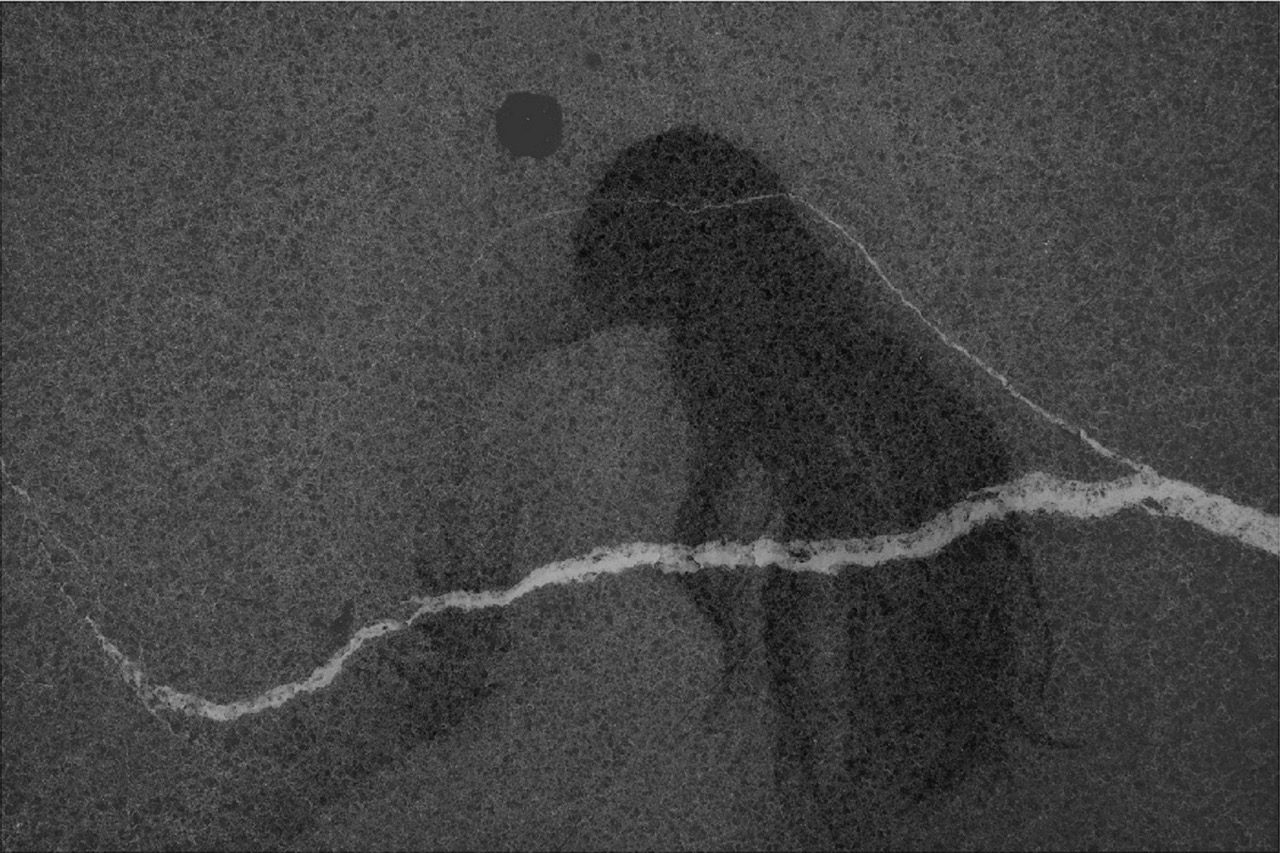 © Kinga Owczennikow | We are made of the paths we walk upon