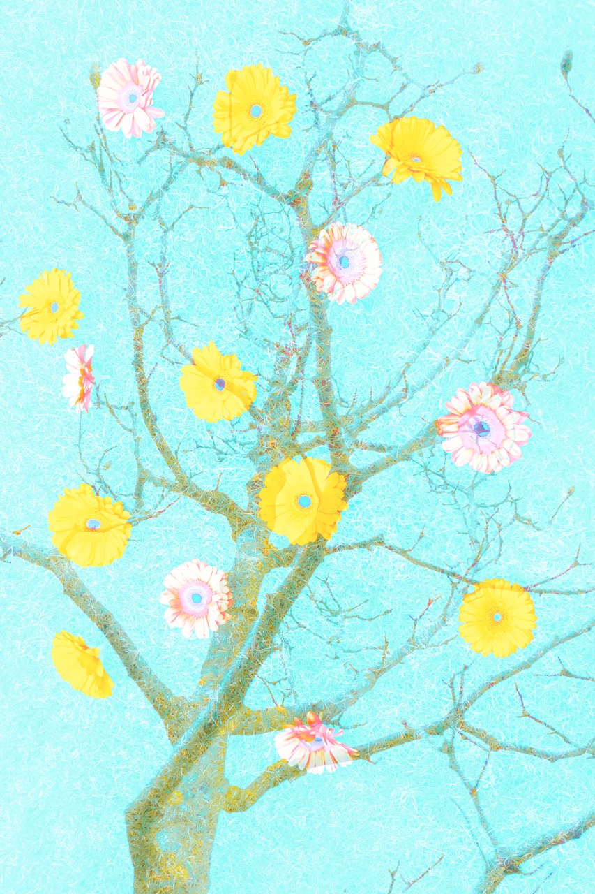 © Lesya Teslya | Serenity