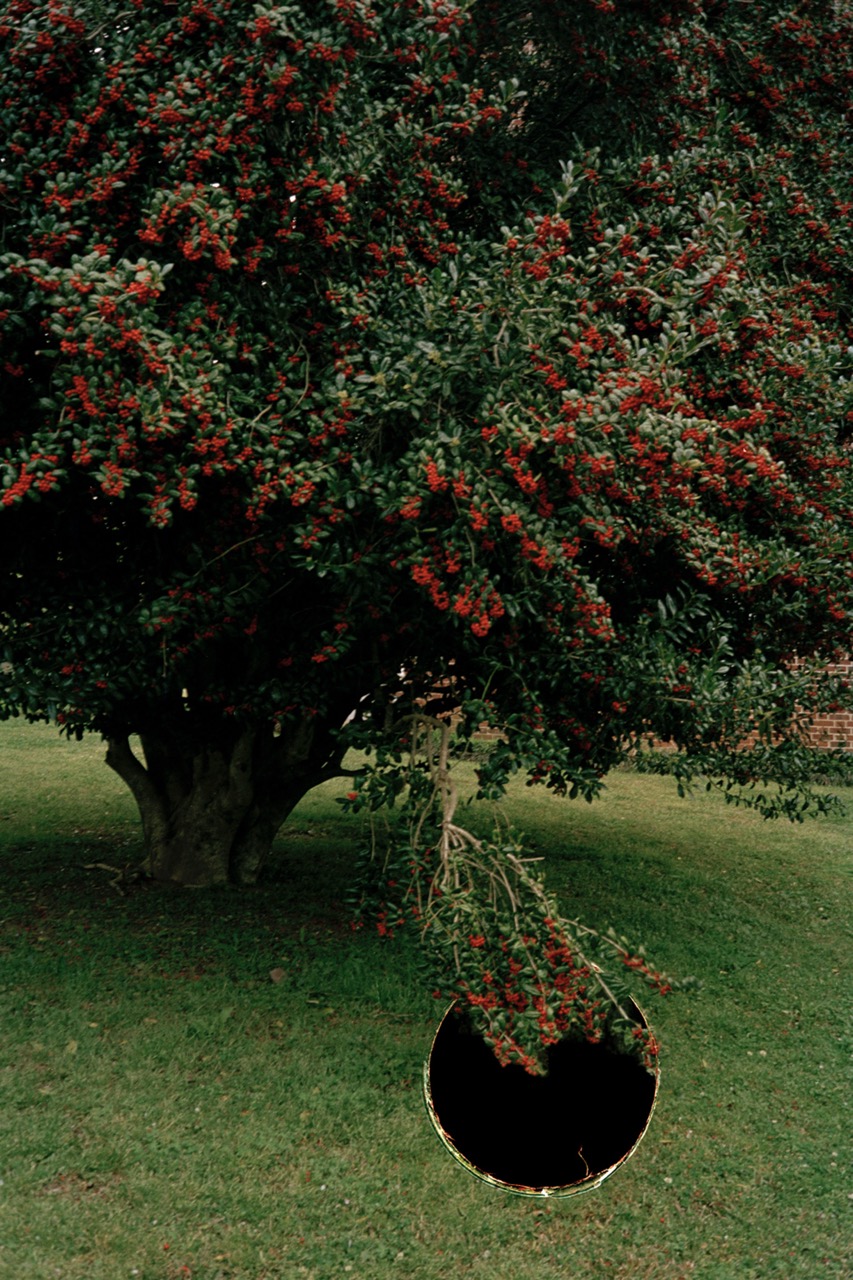 © Man Zhu | Black Hole Guest