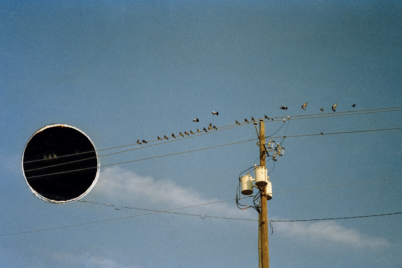 © Man Zhu | Black Hole Guest