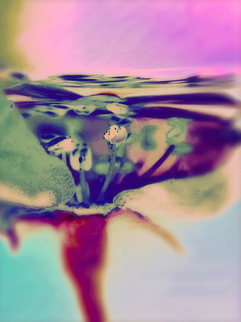 © Melanie Schoeniger | Beyond the edge of darkness