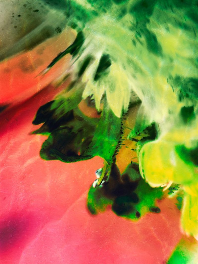 Enigma of Life Online Photo Exhibition by Artdoc Photography Magazine