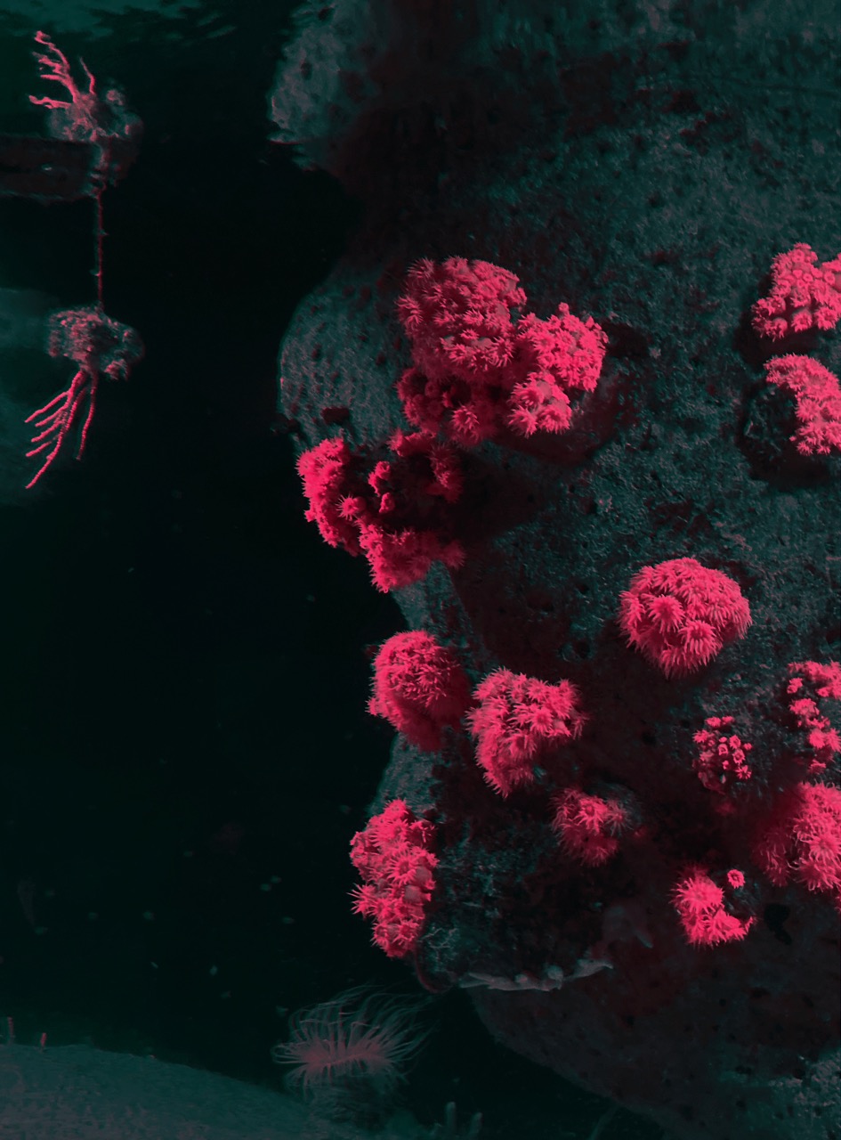 © Melanie Schoeniger | Beyond the edge of darkness