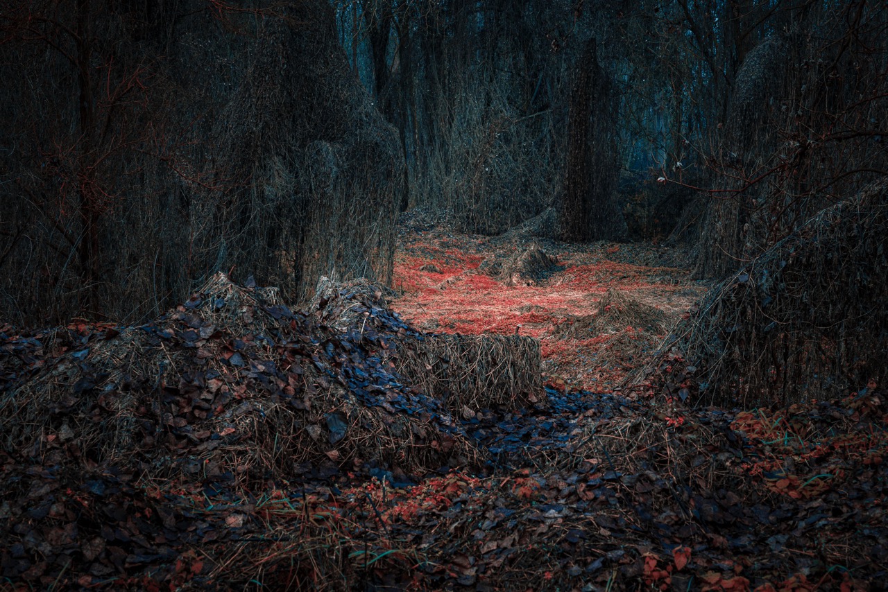 © Michelle Blancke | Secret Garden