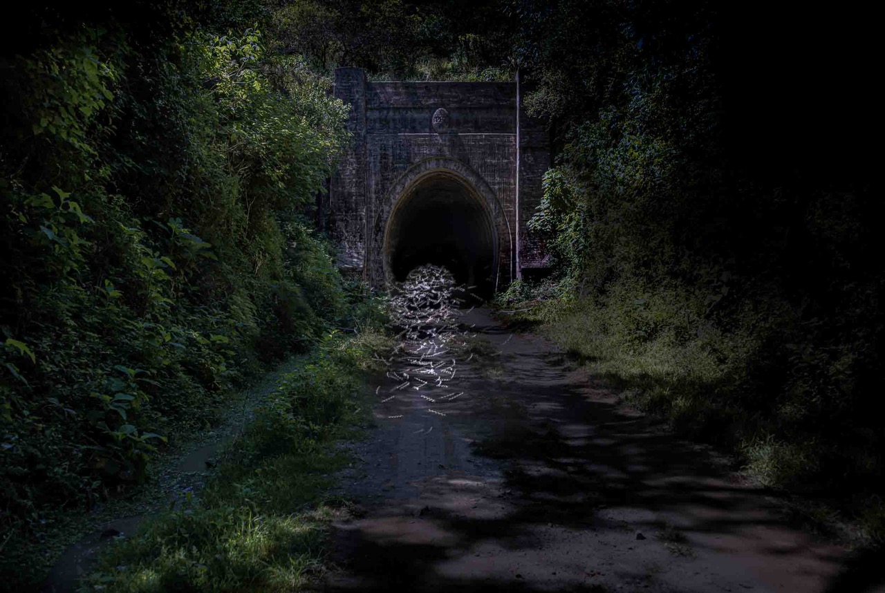 © Paula Bardi | Impermanence