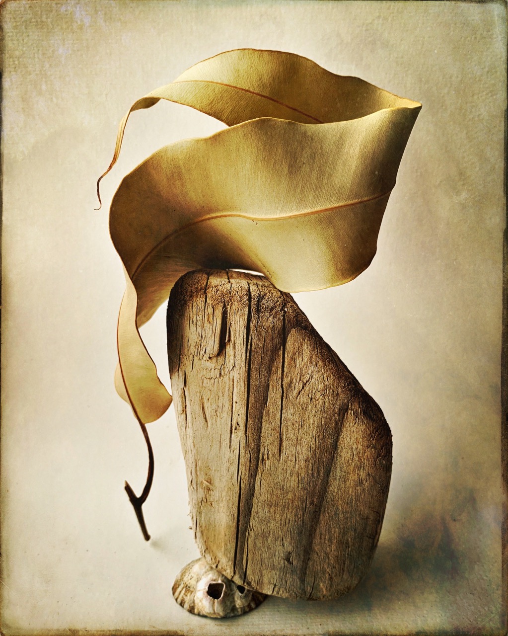 © Robyn Barron | Balance