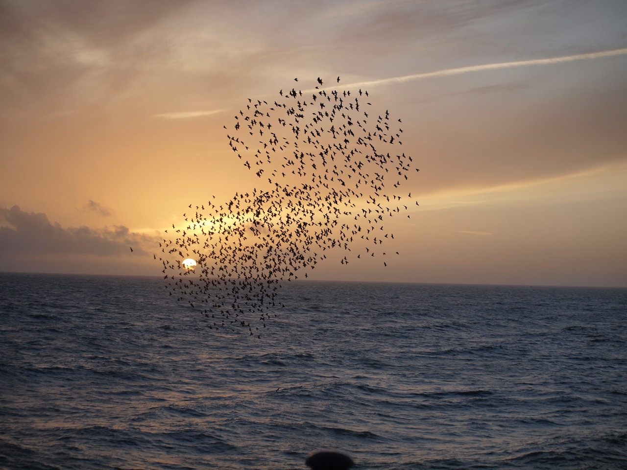 © Tereza Kleovoulou | Enigma