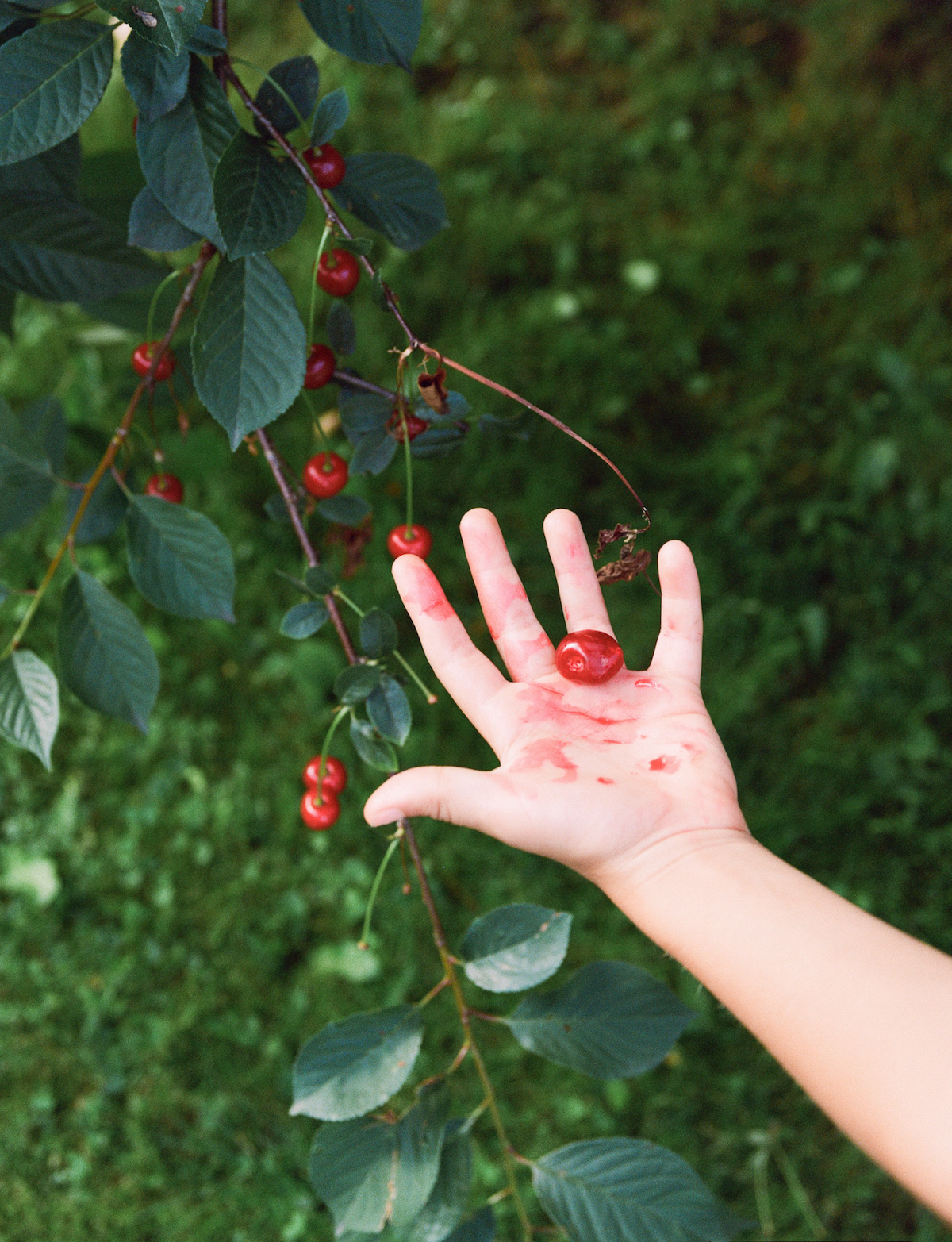 © Veronika Trubnikova | Insula