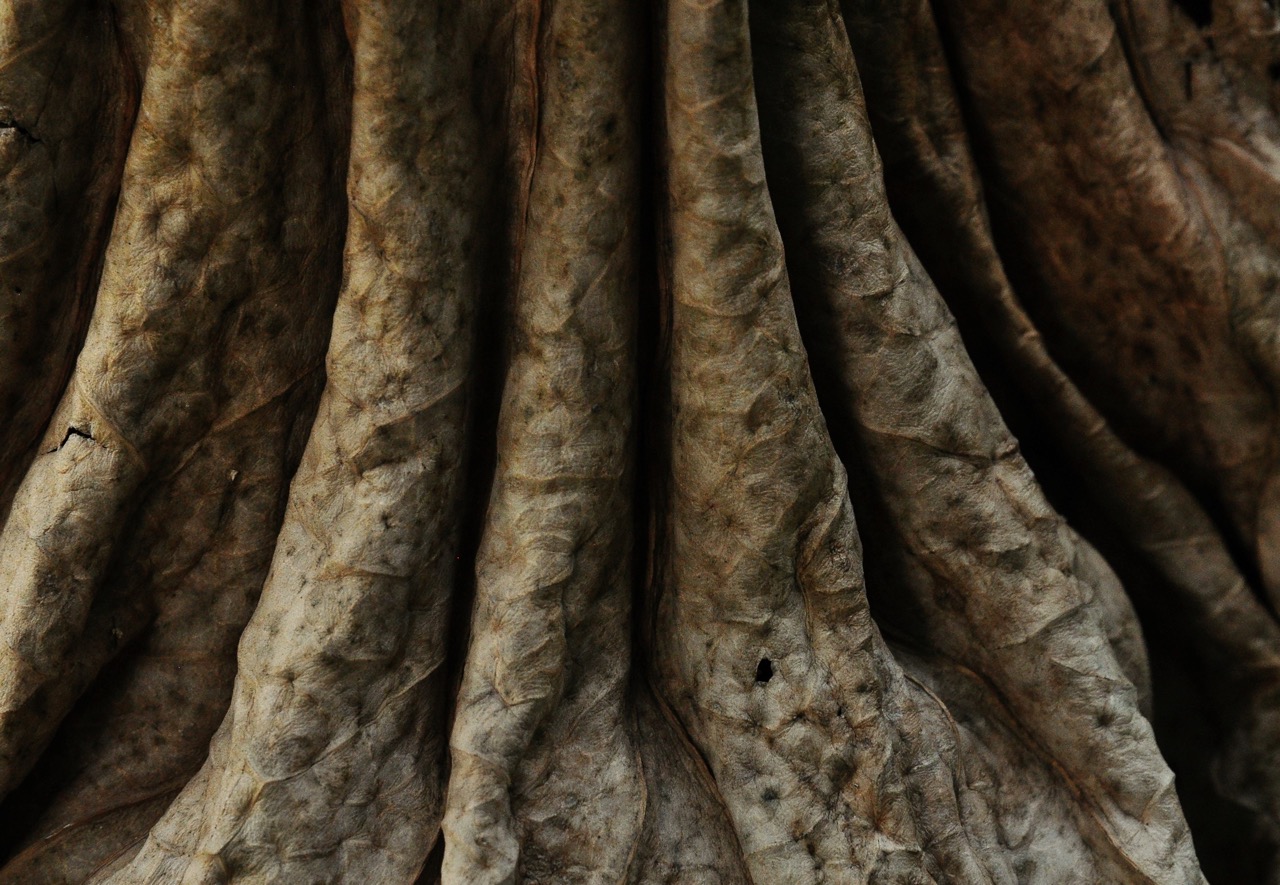 © Maria Pylarinou | Ephemeral