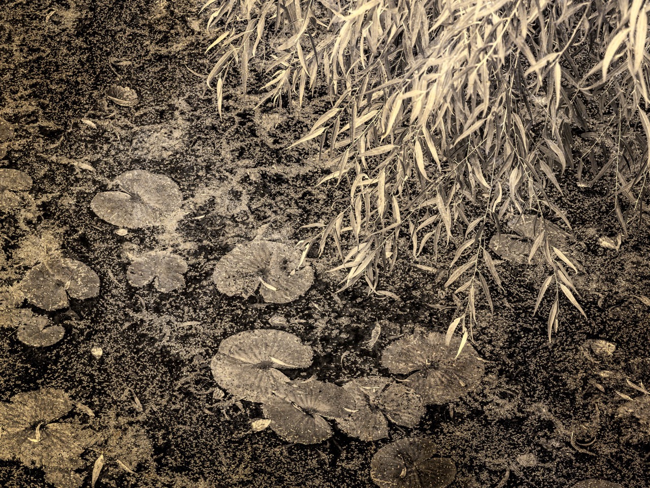 © Marilyn Lamoreux | Looking for God