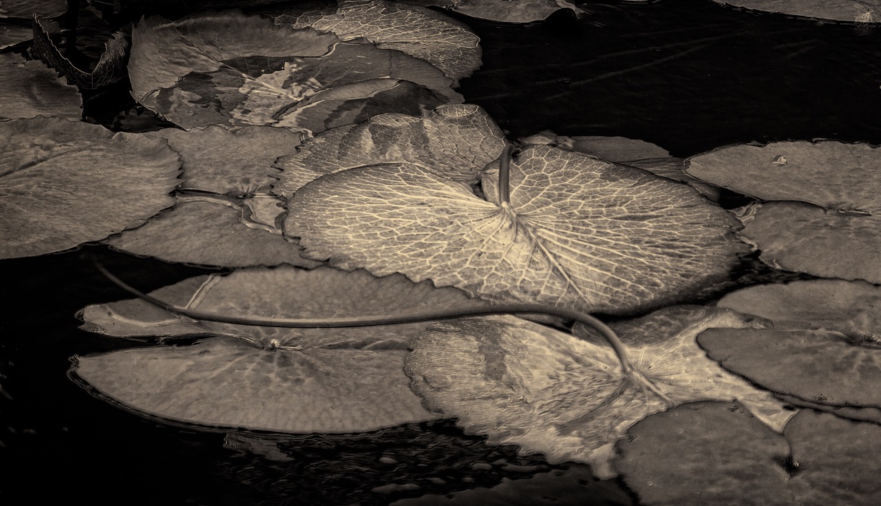 © Marilyn Lamoreux | Looking for God