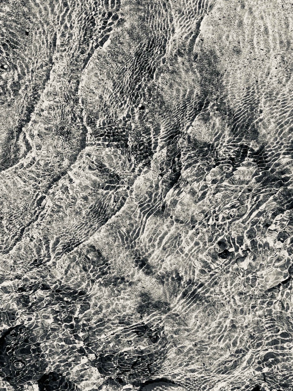 © Maureen Haldeman | Tidelands