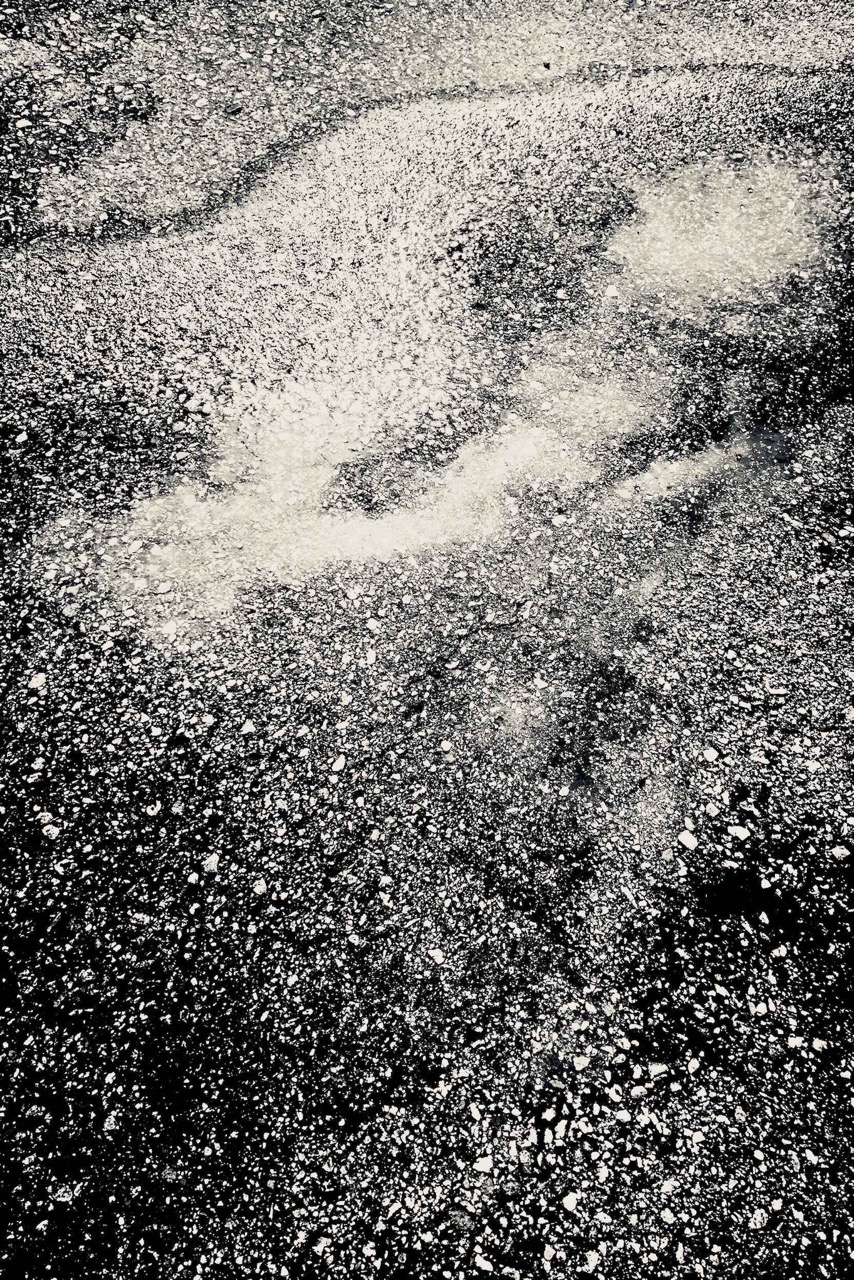 © Maureen Haldeman | Tidelands