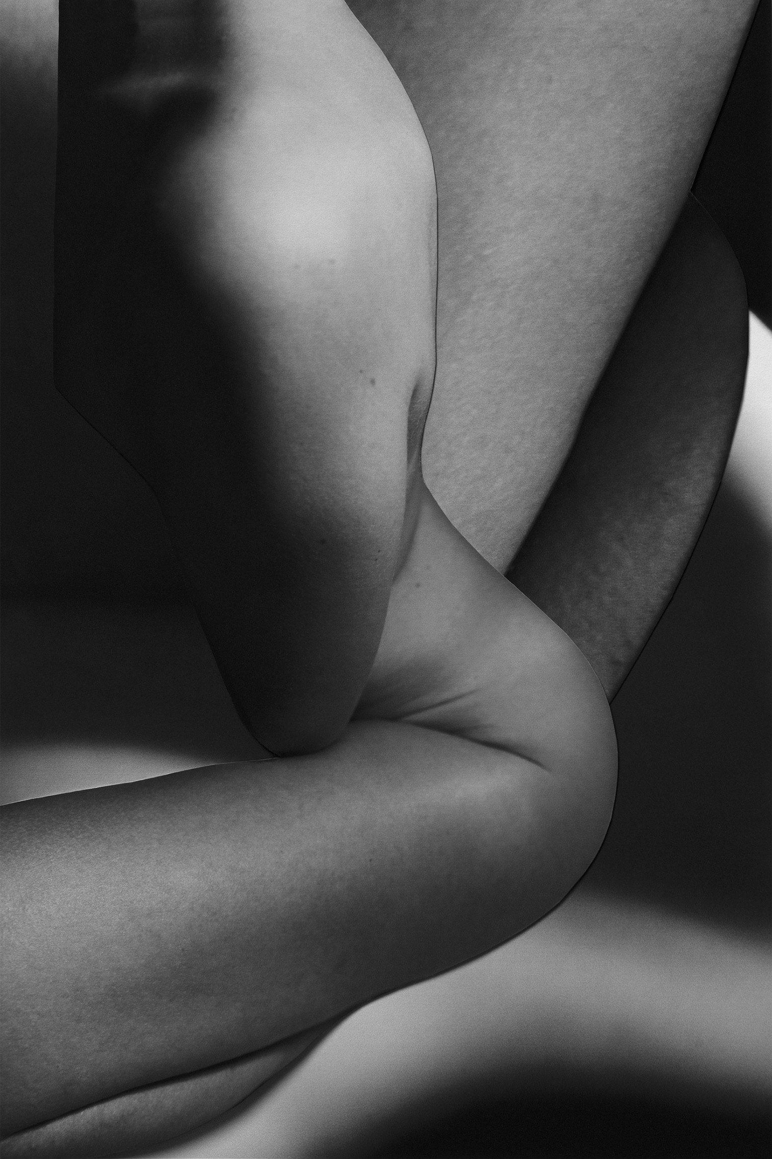 © Roos Peltenburg | Legs are coming soon