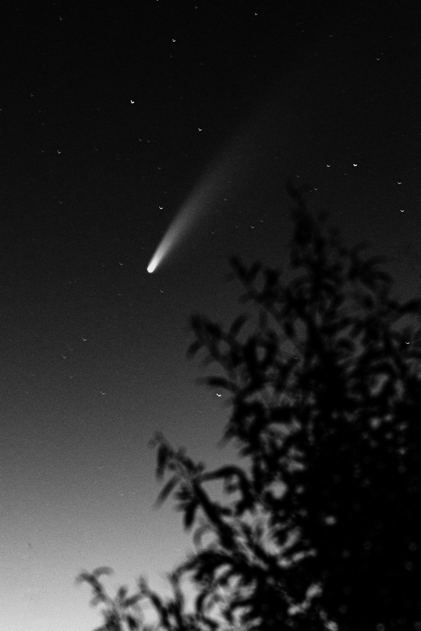 © Rienk De Vries | Gravity Fields