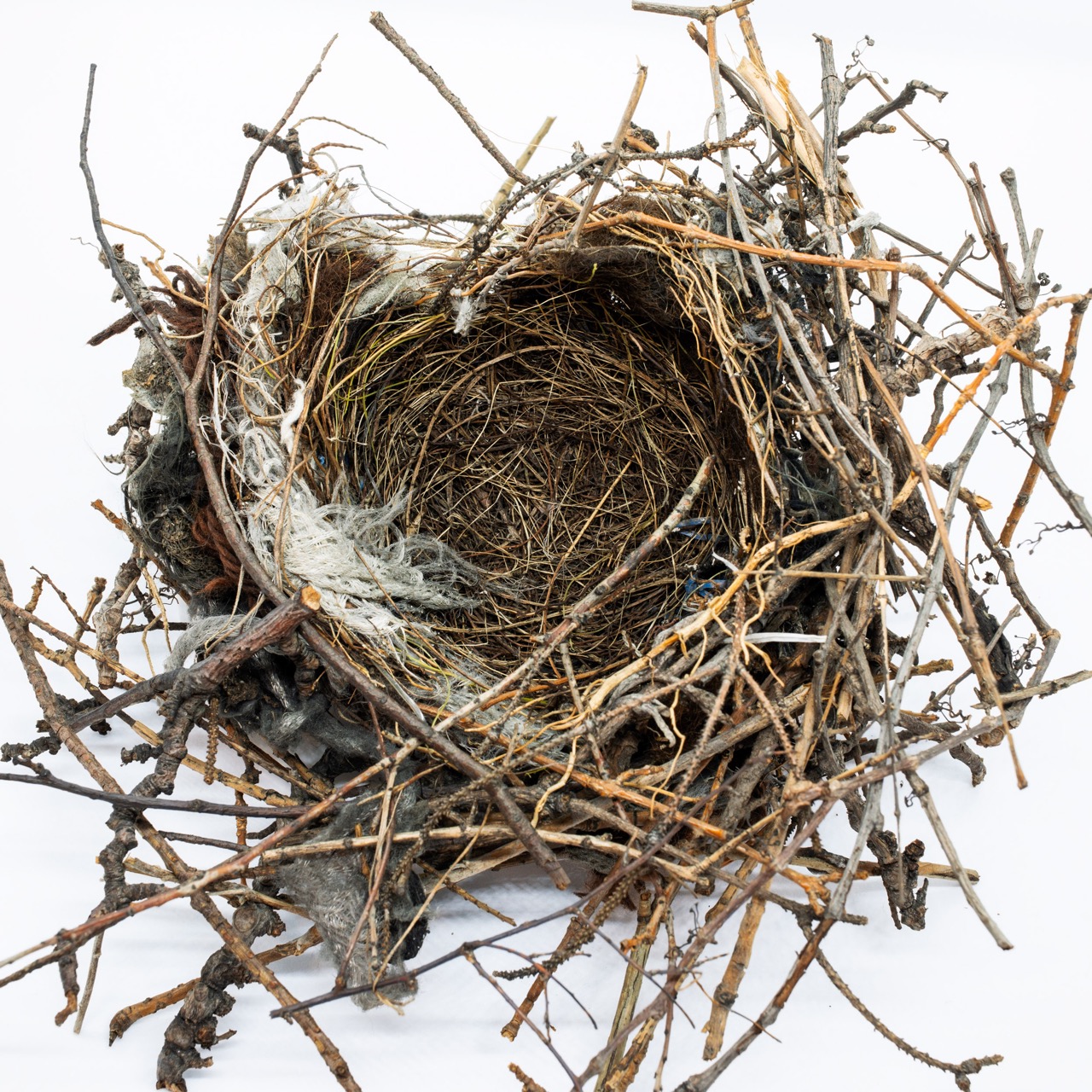 © Torrance York | Semaphore