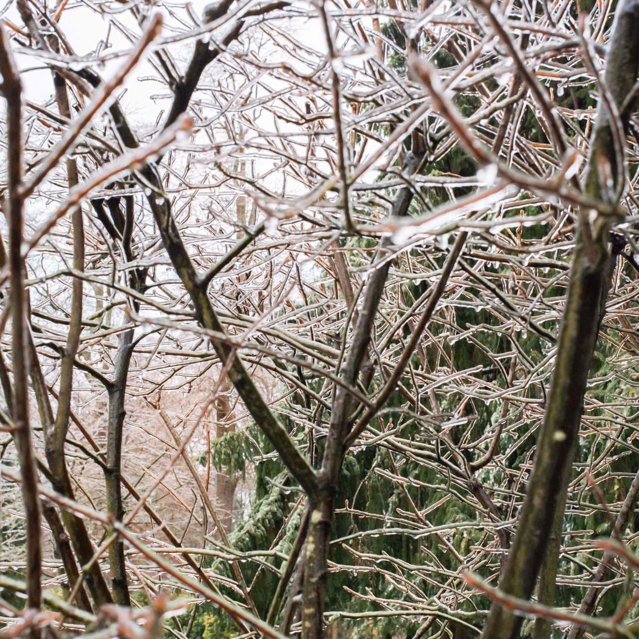 © Torrance York | Semaphore