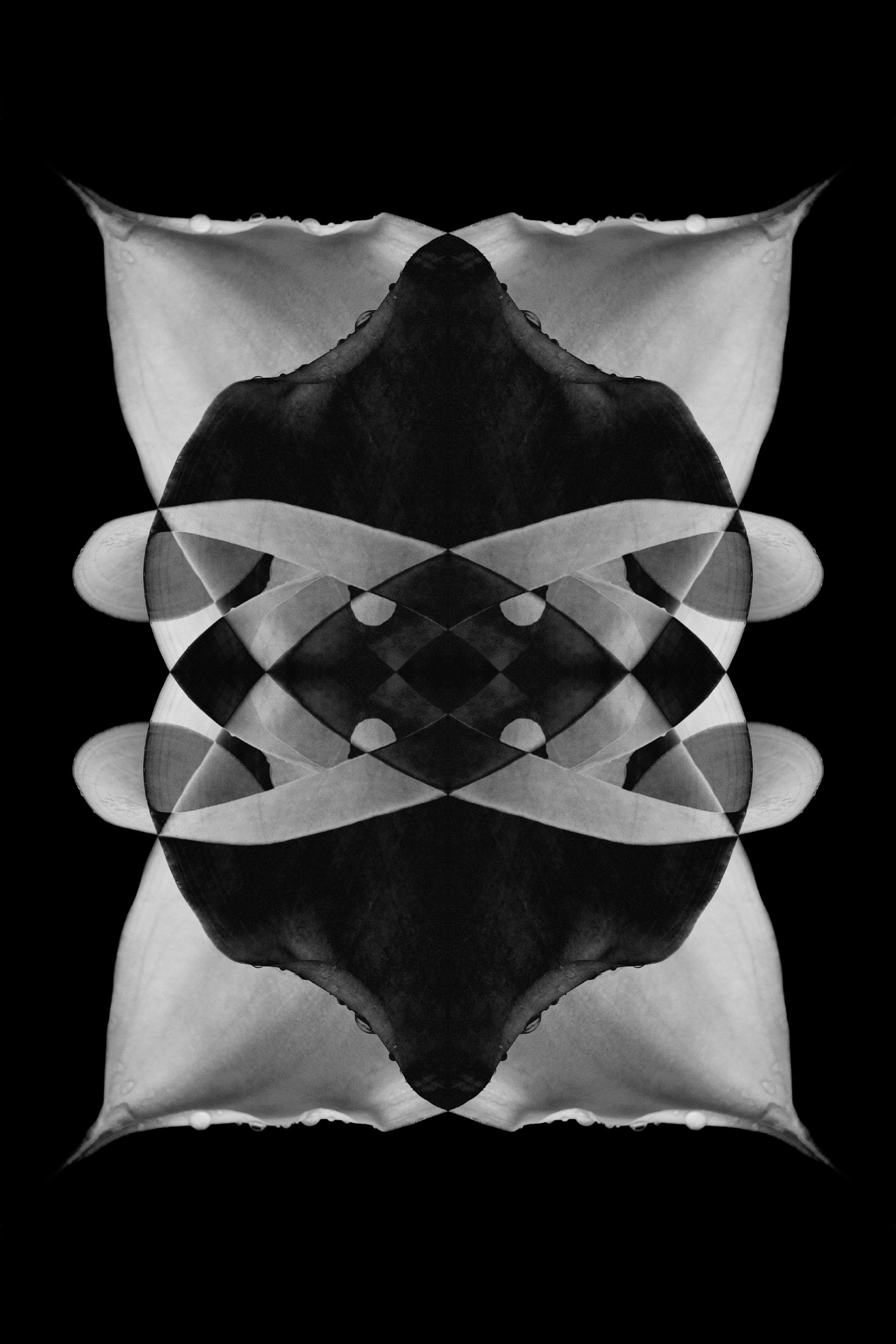 © Patrícia Abreu | Milky Way