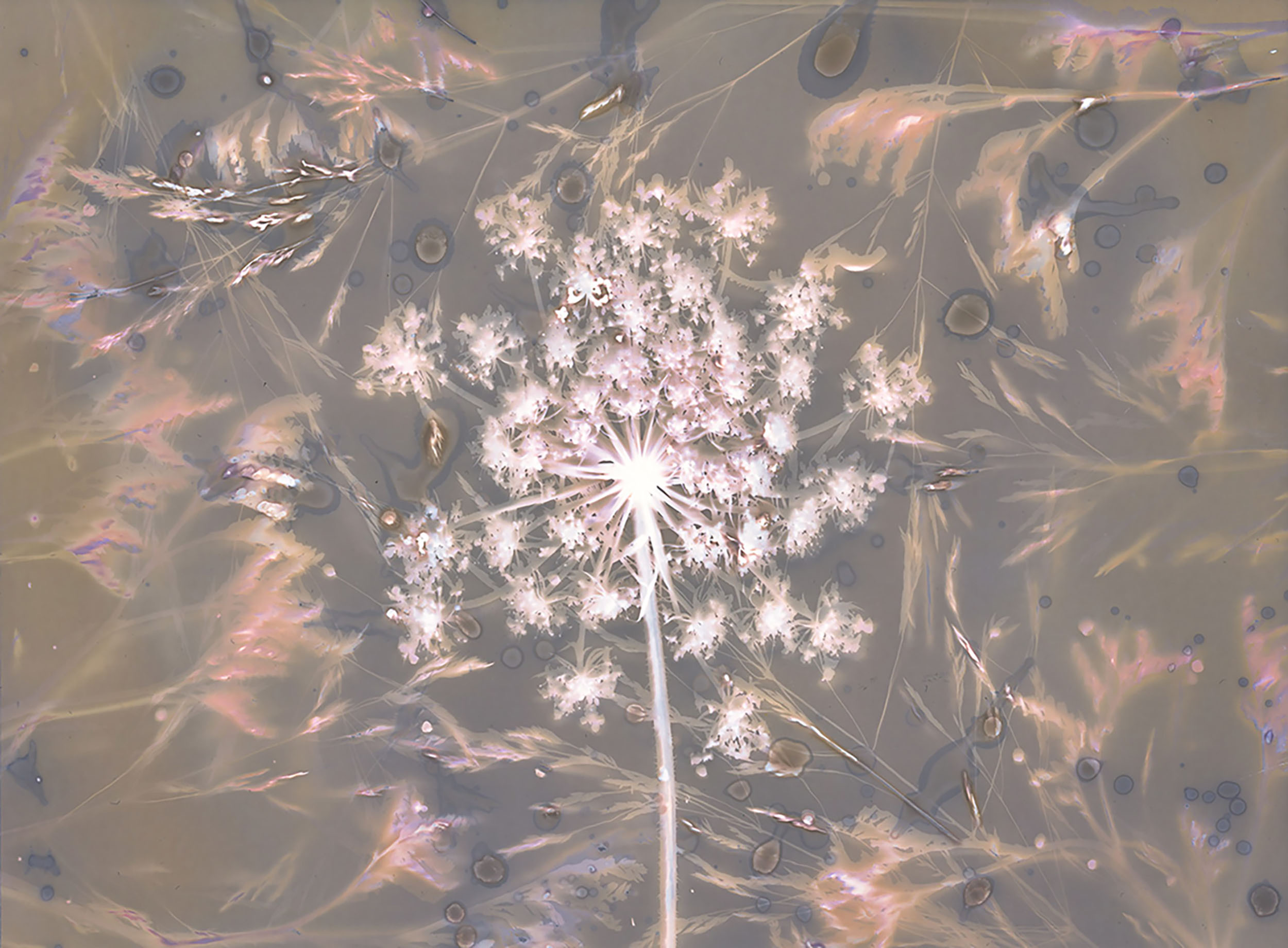 © Leonie Gossens | I Miss