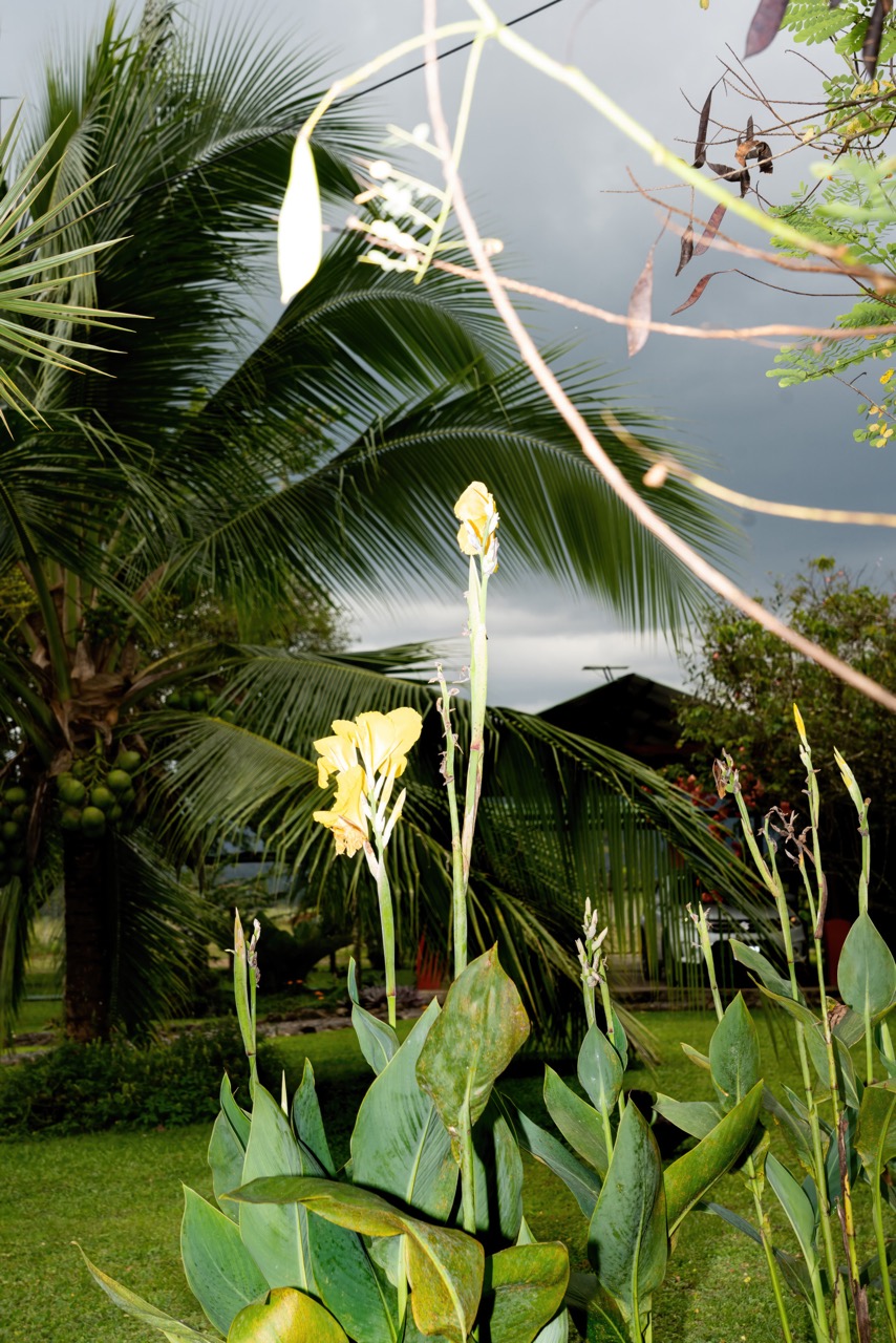 © Cynthia Ortu | Les contemplations