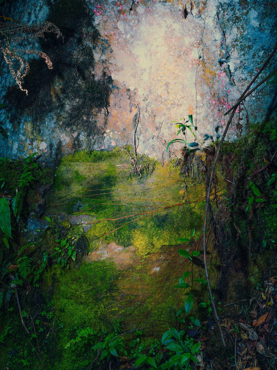 © Christopher Rodriguez | Afterlife