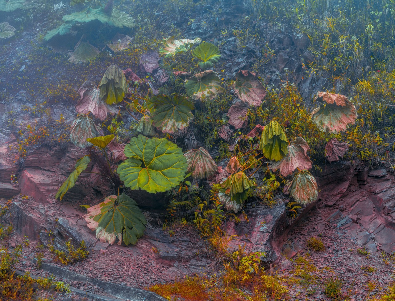 © Christopher Rodriguez | Afterlife