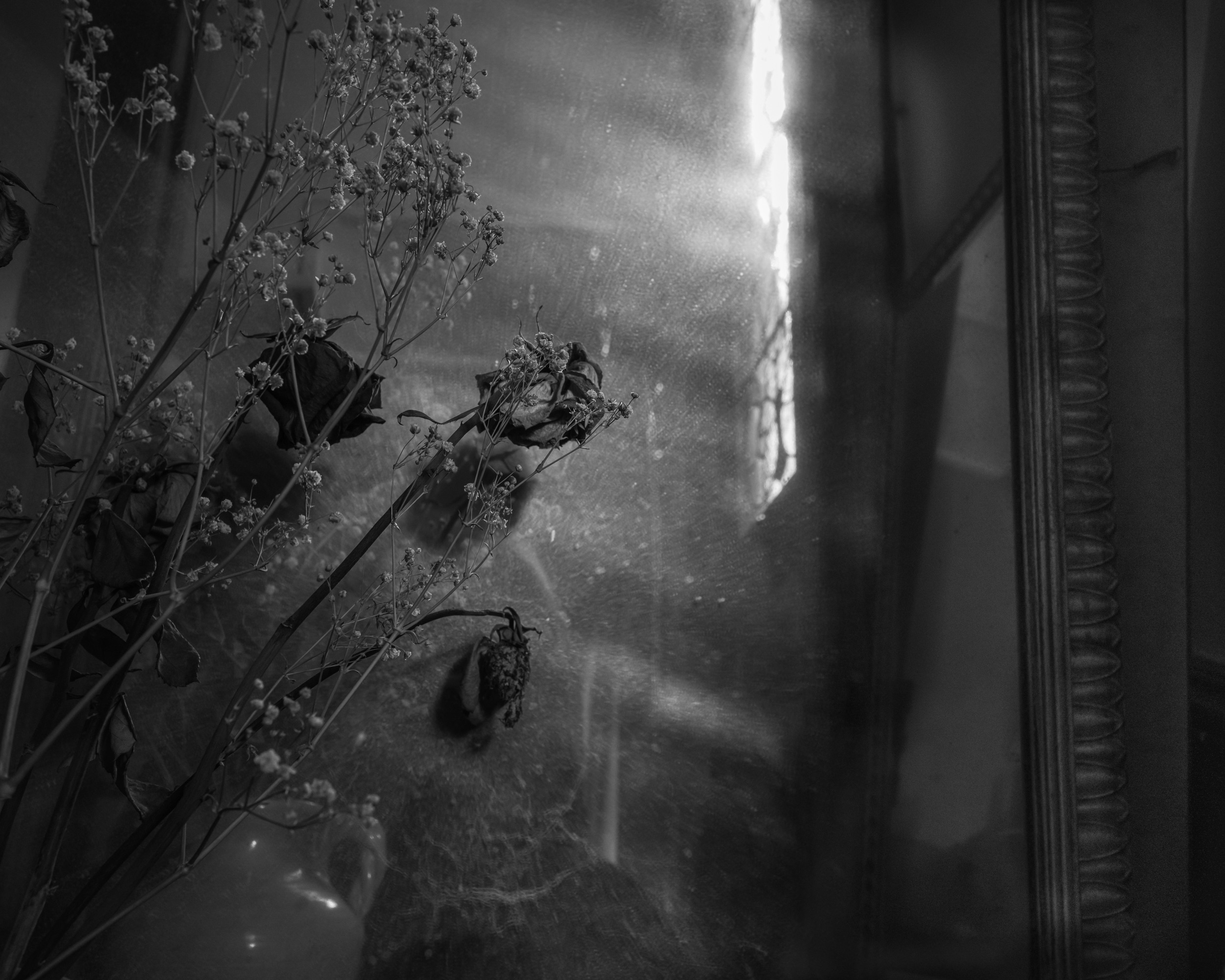 © Barbara Lewin | Living in the Bardo