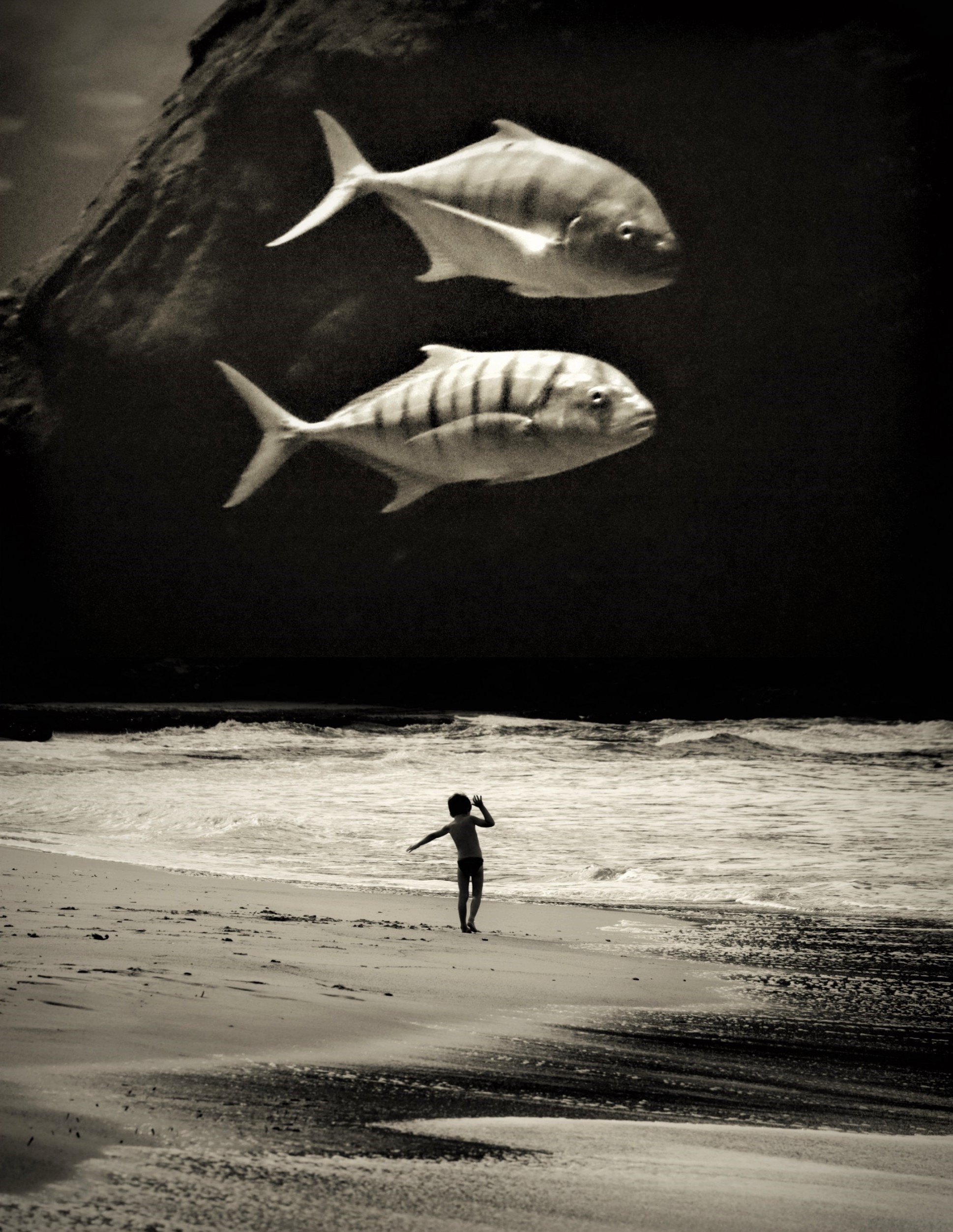 © Andrea Christl | The ever living ones