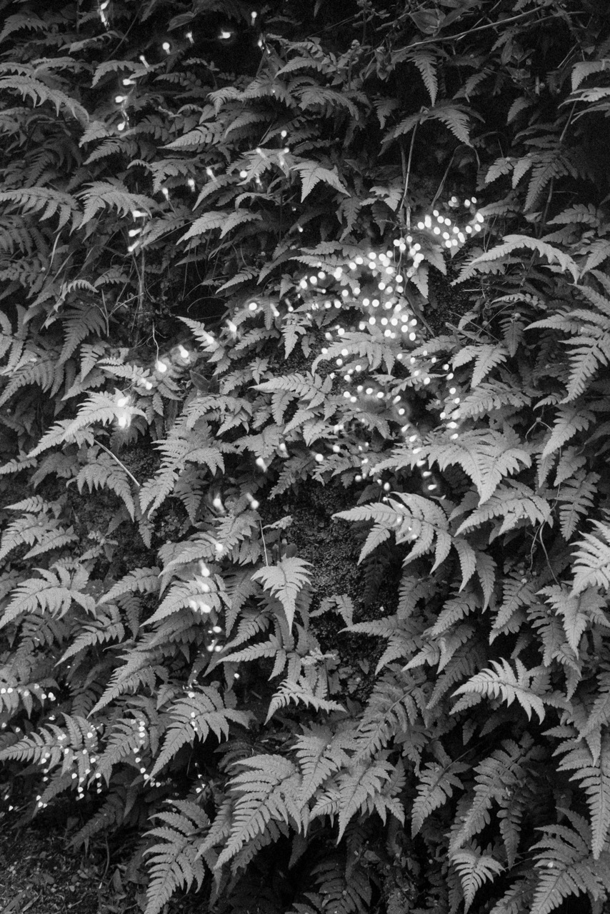 © Paulo Monteiro | The Light of Life