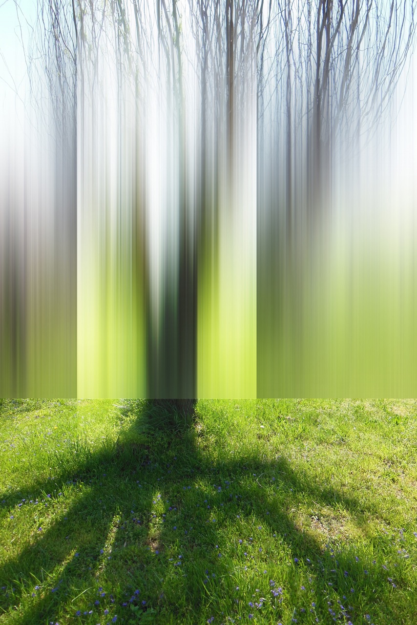 © Ellen Jantzen | Place of Departure