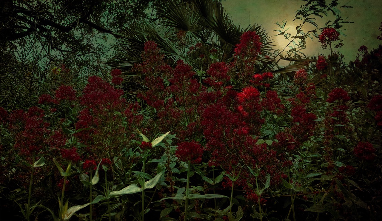 © Xavi Millán | Possible Dreams