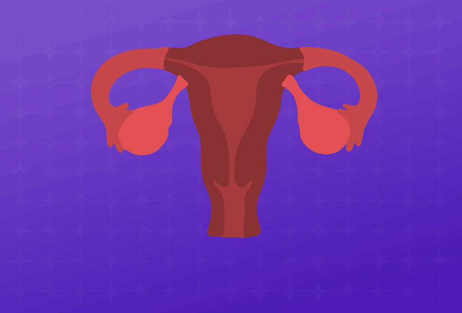 What Causes the Uterine Lining to Shed?