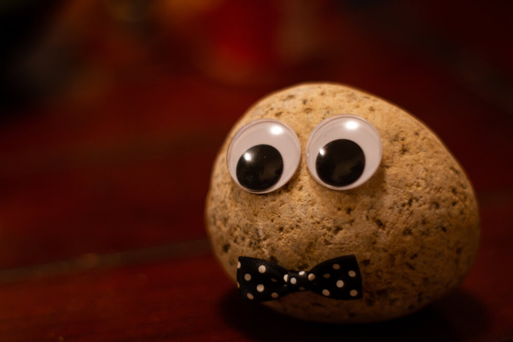 A pet rock with eyes.