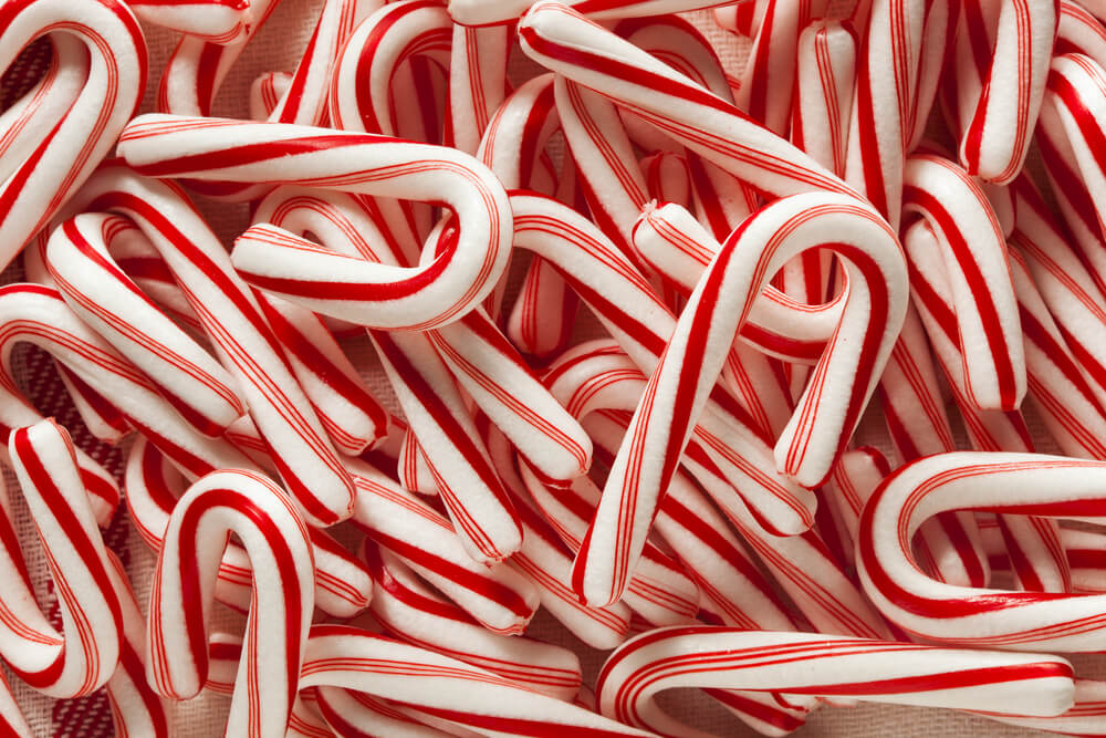 A close up shot of a bunch of candy canes.