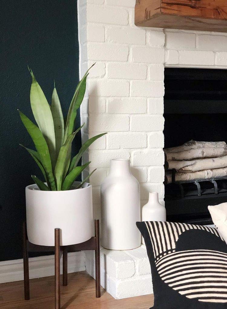 A plant near a fireplace.