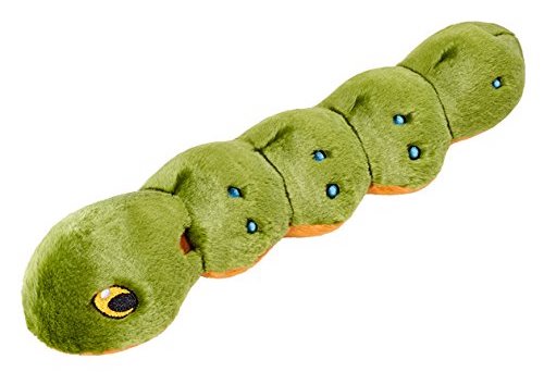 A green caterpillar dog toy.