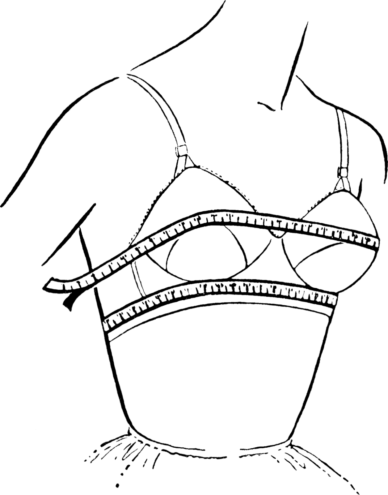 measuring bra size