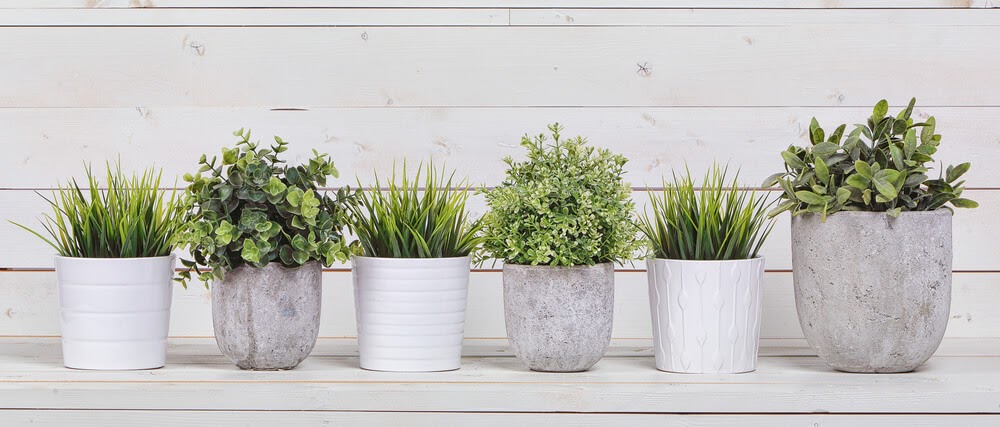 variety of potted plants