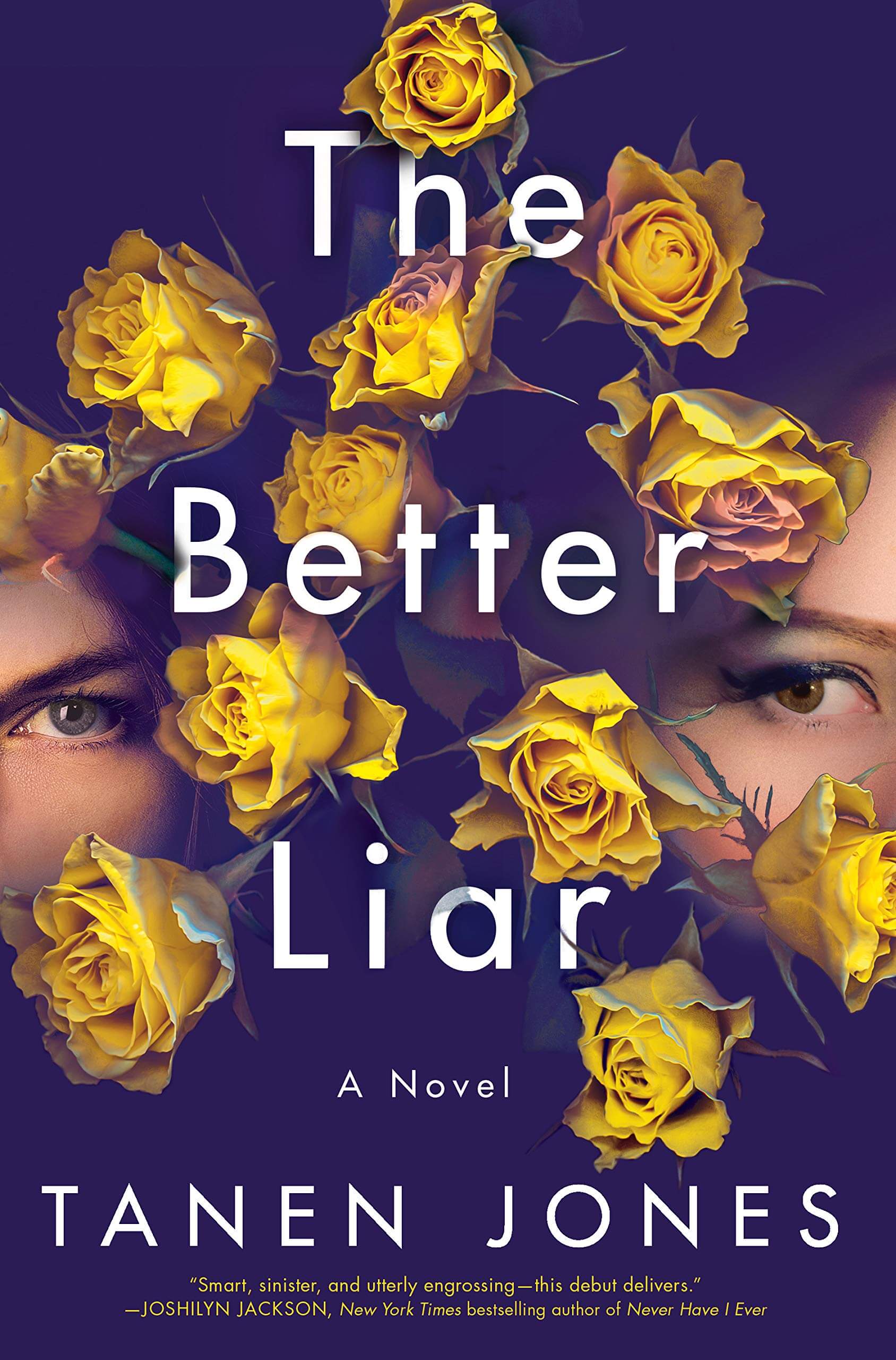 The Better Liar Book Cover