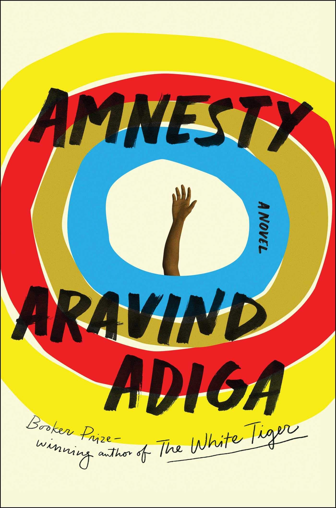 Amnesty Book Cover