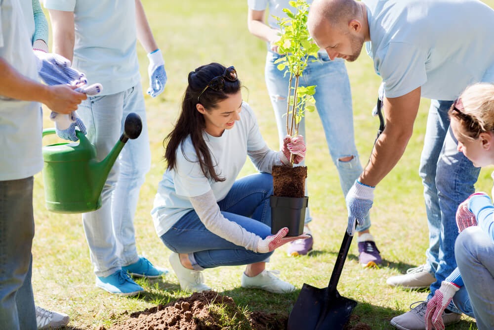 group of volunteers planting a tree