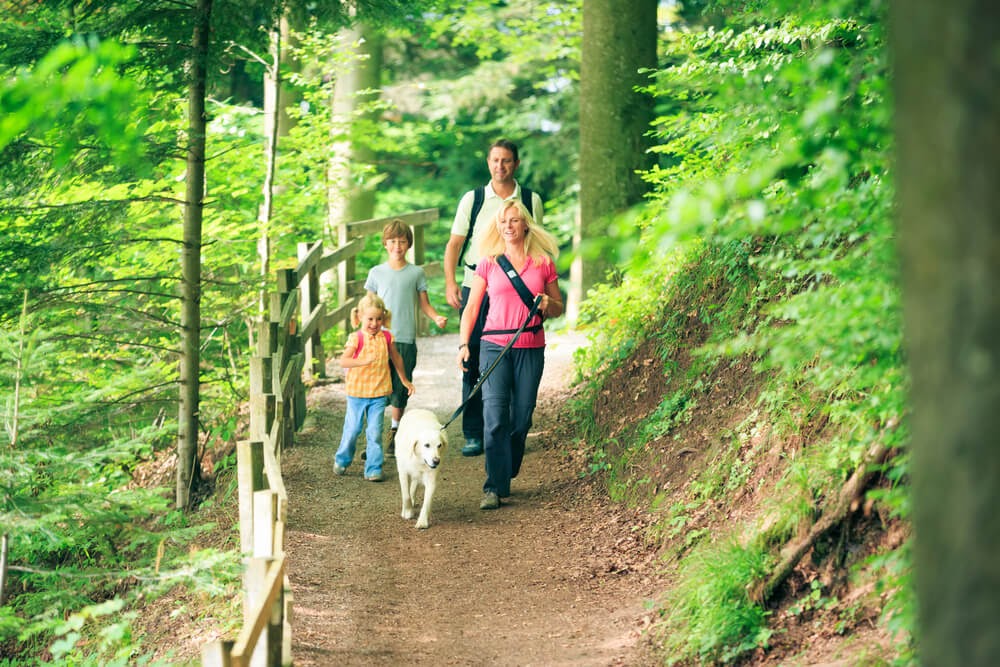 Family walks dog on trail