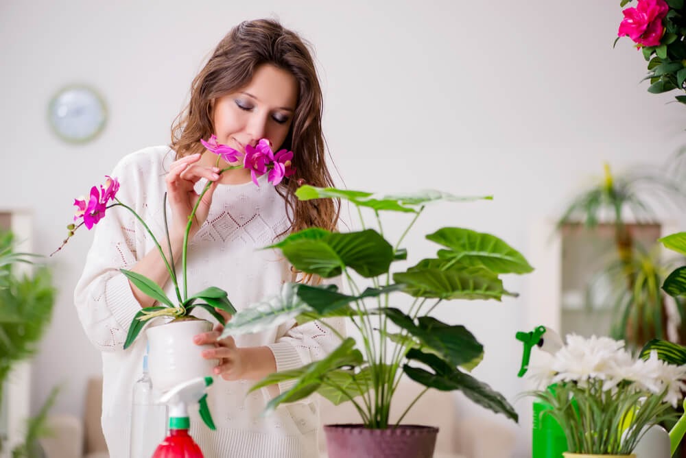 Woman smells pink orchid